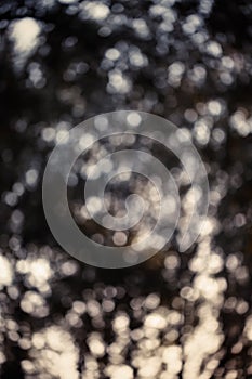 Colorful bokeh background. abstract blurred circles in nature colors. Copyspace for design and text.