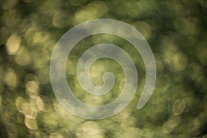 Colorful bokeh background. abstract blurred circles in nature colors. Copyspace for design and text.