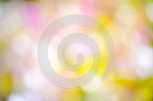 Colorful Bokeh,flower bokeh ,abstract background,Orchid Bokeh,Bokeh background, Elemnt of design,defocused.