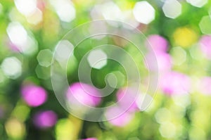 Colorful bokeh sunlight backgrounds for romantic theme