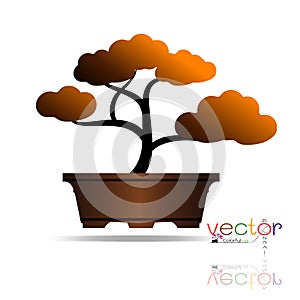 Colorful of Bonsai tree, silhouette of bonsai, Detailed image, Vector illustration.