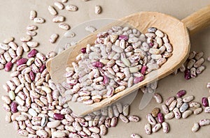 Colorful Borlotti beans in wooden spoon