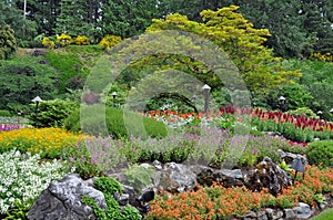 Colorful botanical garden