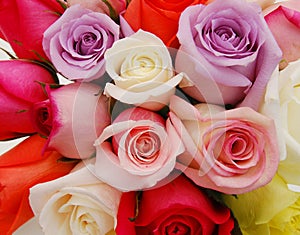 Colorful bouquet roses