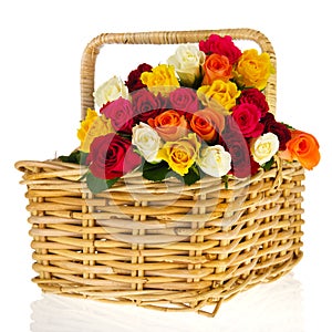 Colorful bouquet roses in basket