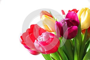 Colorful bouquet of tulip flowers