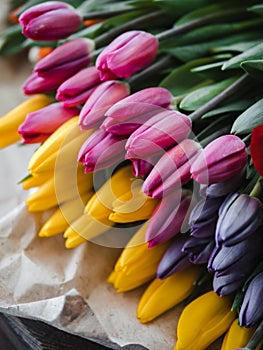 Colorful bouquet of tulips on paper