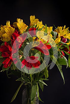 A colorful bouquet of yellow and red Peruvian lilies.