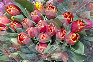 Colorful bouquets of tulips in a package, ready for sale. Spring flowers. Close up.