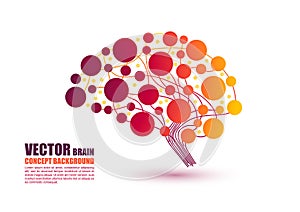 Colorful brain concept in vector illustration