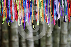 Colorful Brazilian Carnival Wish Ribbons Bamboo Forest