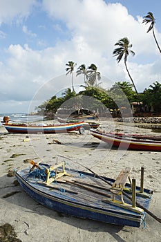 Colorful Brazilian Jangada Fishing Boats Jericoacoara