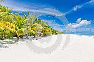 Colorful bright happy tropical landscape. Beach chairs umbrella leisure lifestyle carefree love couple travel