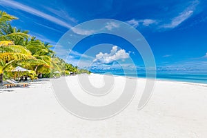 Colorful bright happy tropical landscape. Beach chairs umbrella leisure lifestyle carefree love couple travel