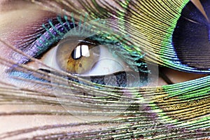 Colorful bright makeup on brown eye close-up.