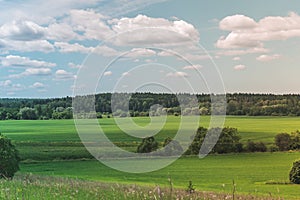 Colorful Bright Sunny Summer Green Field, River Summer Landscape With Blue Cloudy Sky, Trees And Hills