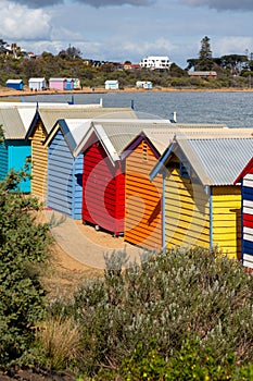 Colorful Brighton beach houses, Brighton, Melbourne, Victoria, Australia