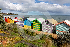 Colorful Brighton beach houses, Brighton, Melbourne, Victoria, Australia