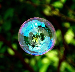 Colorful soap bubble photo