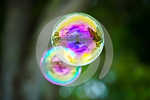 Colorful Bubbles Floating in Front of Trees