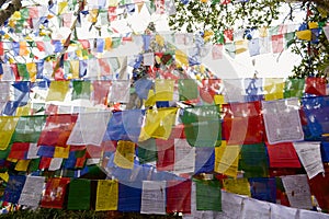 Colorful buddhism prayer flags in Mahakal temple