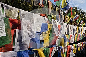 Colorful buddhism prayer flags on the Observatory hill in Darjeeling