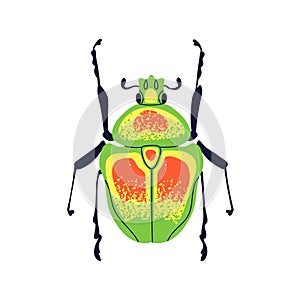 Colorful bug. Bright spotted beetle, fantasy animal species, top view. Imaginary insect, spotty wings, antenna
