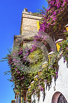 Colorful Building Wall Santa Cruz Garden District Seville Spain