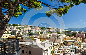 Colorful buildings on hill in city district of Genoa Genova