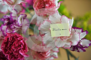 Colorful bunch of spring carnation flowers and miniature note for thank you mum