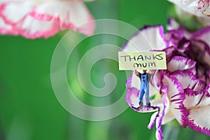 Colorful bunch of spring flowers and miniature note for mothers day