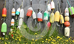 Colorful buoys on a fence.