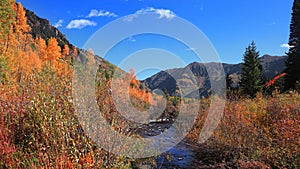 Colorful bushes by running water stream in Colorado rocky mountains