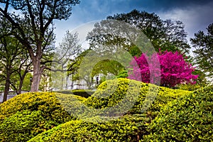 Colorful bushes and trees at the Capitol Complex in Harrisburg