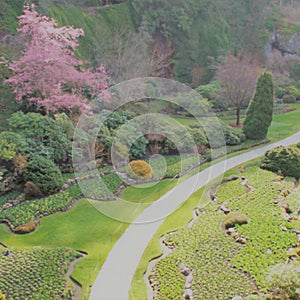 Colorful Butchart Gardens