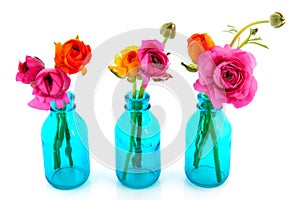 Colorful butter cups in blue vases