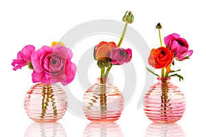 Colorful butter cups in glass vases