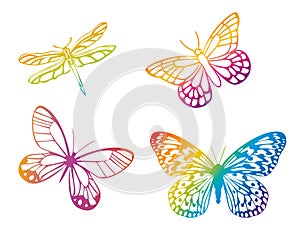 Colorful butterflies