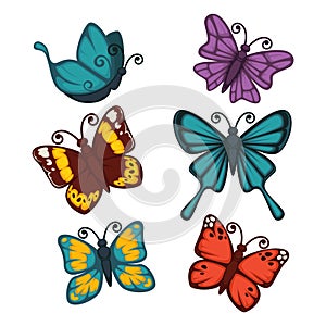 Colorful butterflies collection isolated on white vector poster