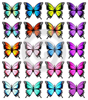 Colorful butterflies set. Vector