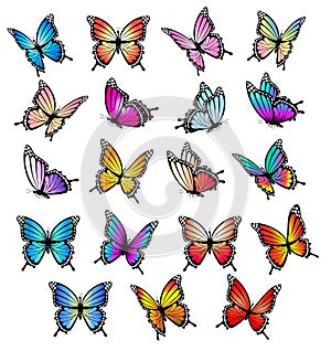 Colorful butterflies set. Vector