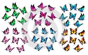 Colorful butterflies set. Vector.