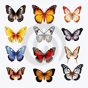 Colorful Butterflies Set On White Background - 3d Realistic Illustration