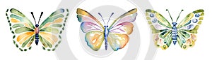 Colorful butterflies watercolor isolated on white background. Green, yellow, blue and pink butterfly. Spring animal