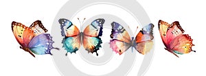 Colorful butterflies watercolor isolated on white background. Pink, green, brown, yellow butterfly. Spring animal vector