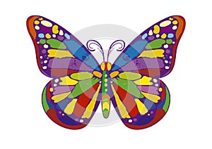 Colorful butterfly
