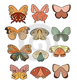 Colorful Butterfly art print poster.