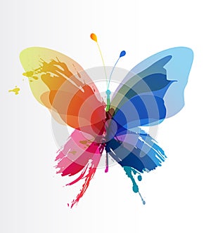 Colorful butterfly created from splash and colored objects.