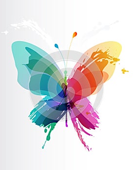 Colorful butterfly created from splash photo