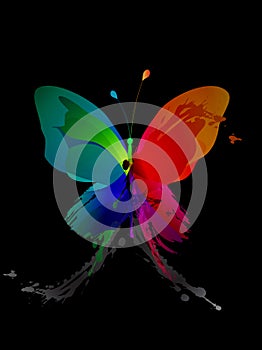 Colorful butterfly created from splash
